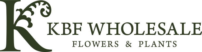 Kittelberger Wholesale Florist – Webster & Rochester