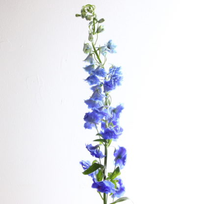 Blue Hybrid Delphinium  